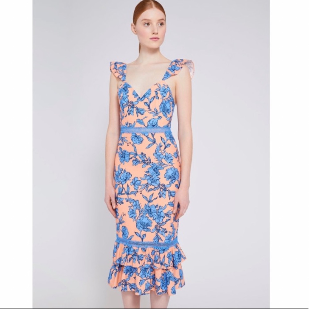 NWT Alice and Olivia Floral Dress